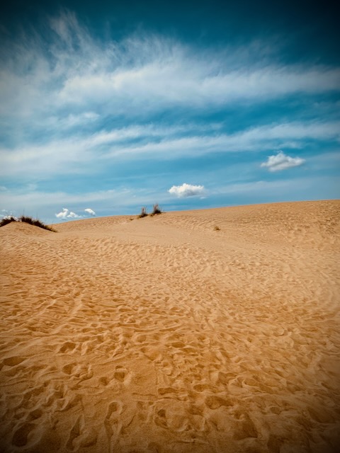 Jockey's Ridge Dune