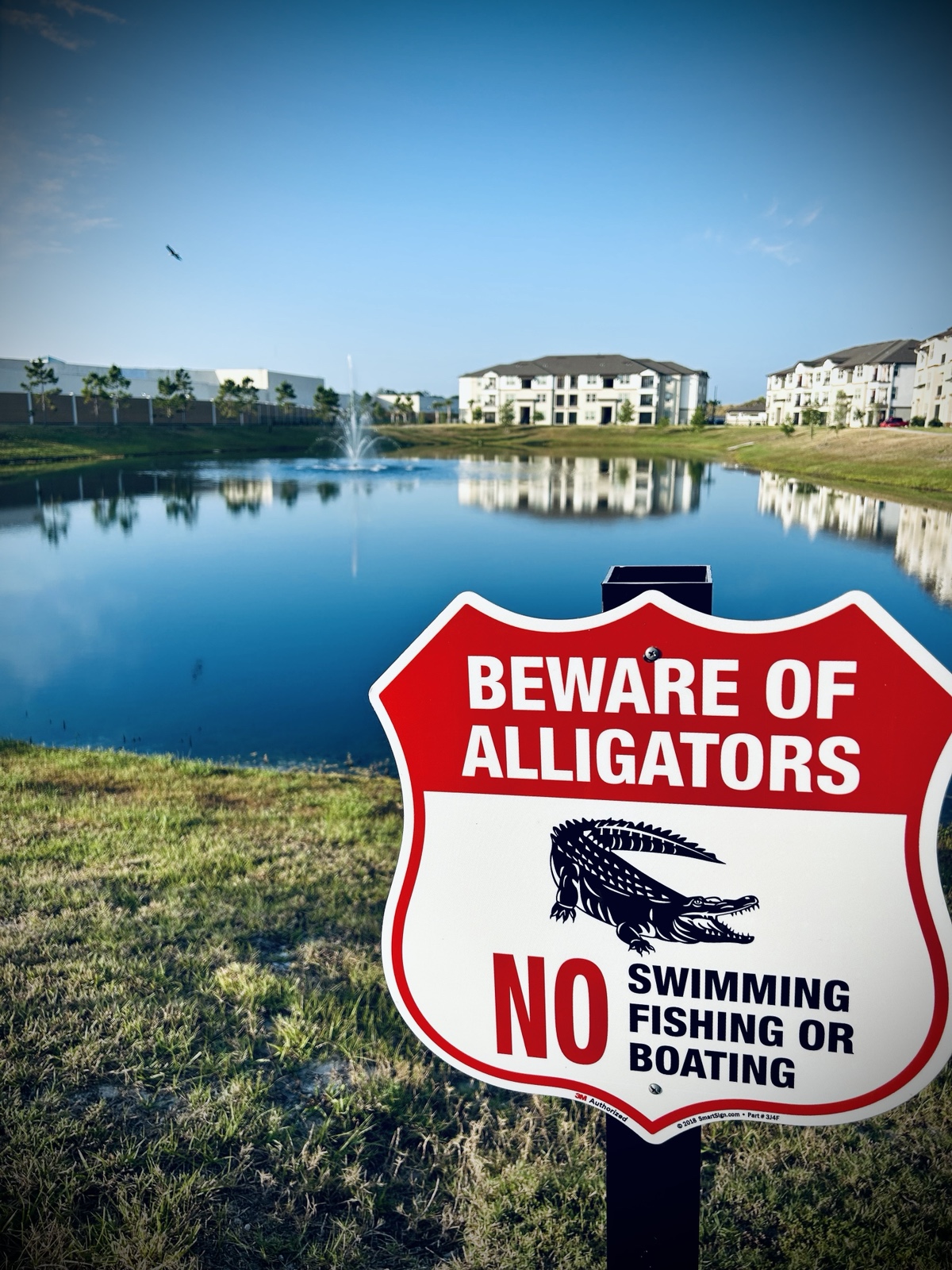 Sign warning passersby to beware of alligators in front of a pond with apartment buildings. There is a bald eagle flying in the distance.