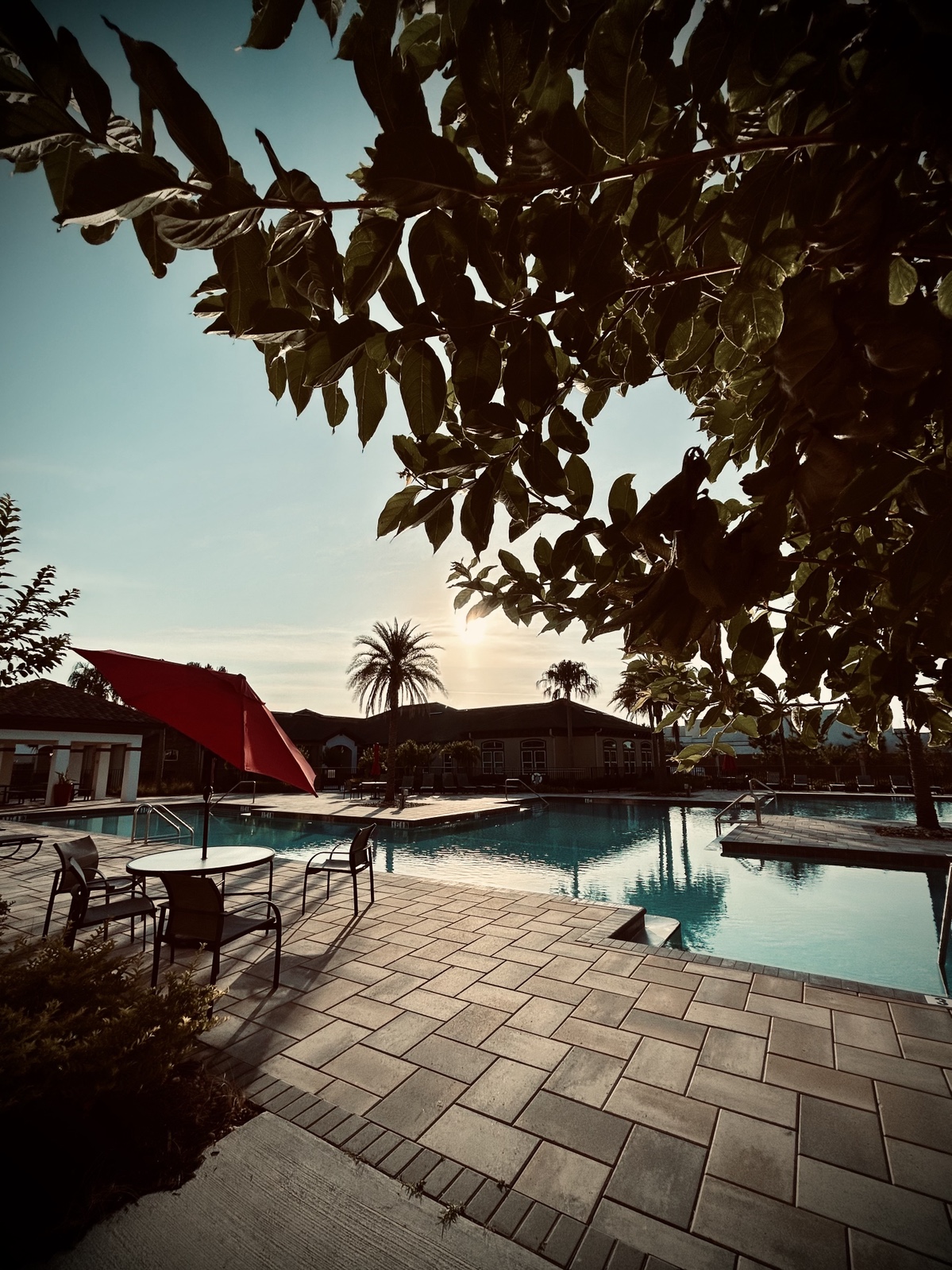 Trees, table with umbrella, pool, and the sunrise.