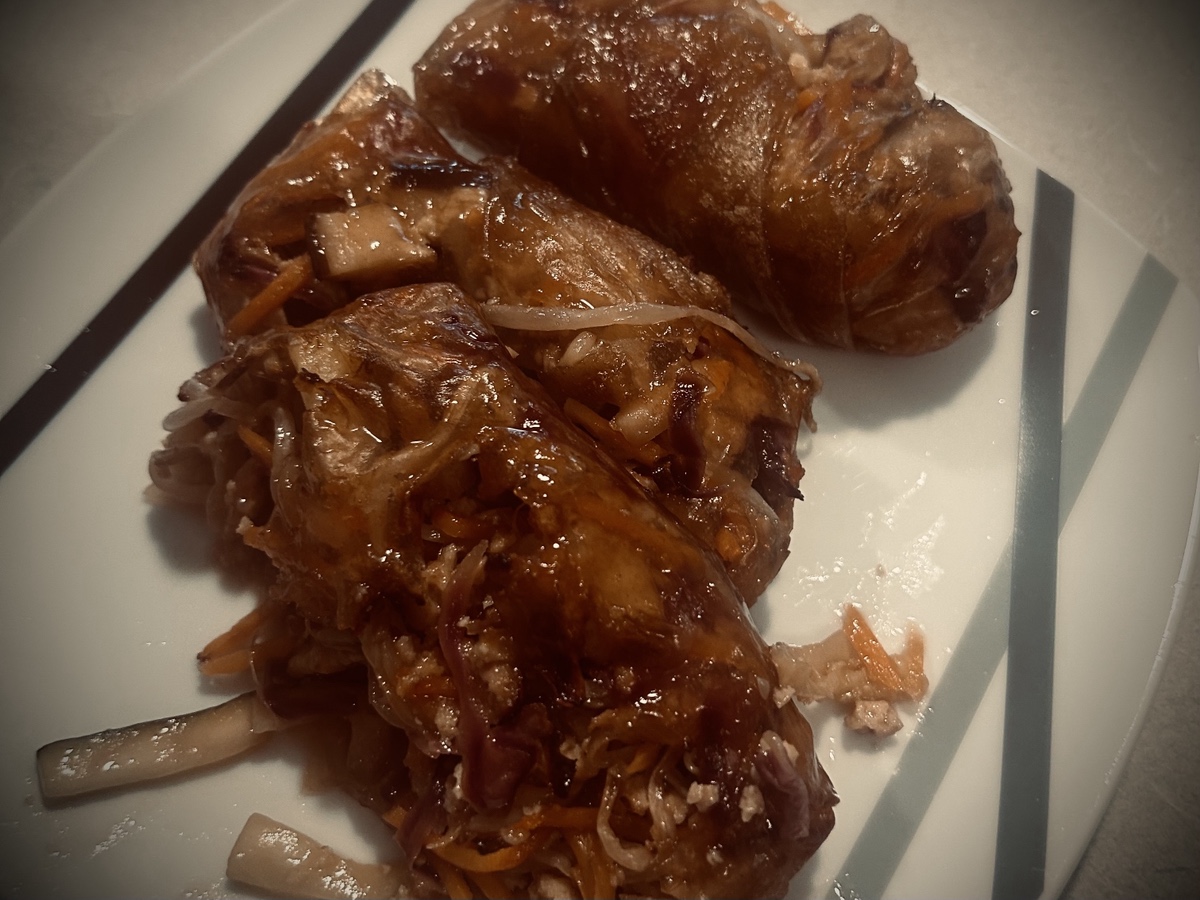 Plate of what was supposed to be spring rolls