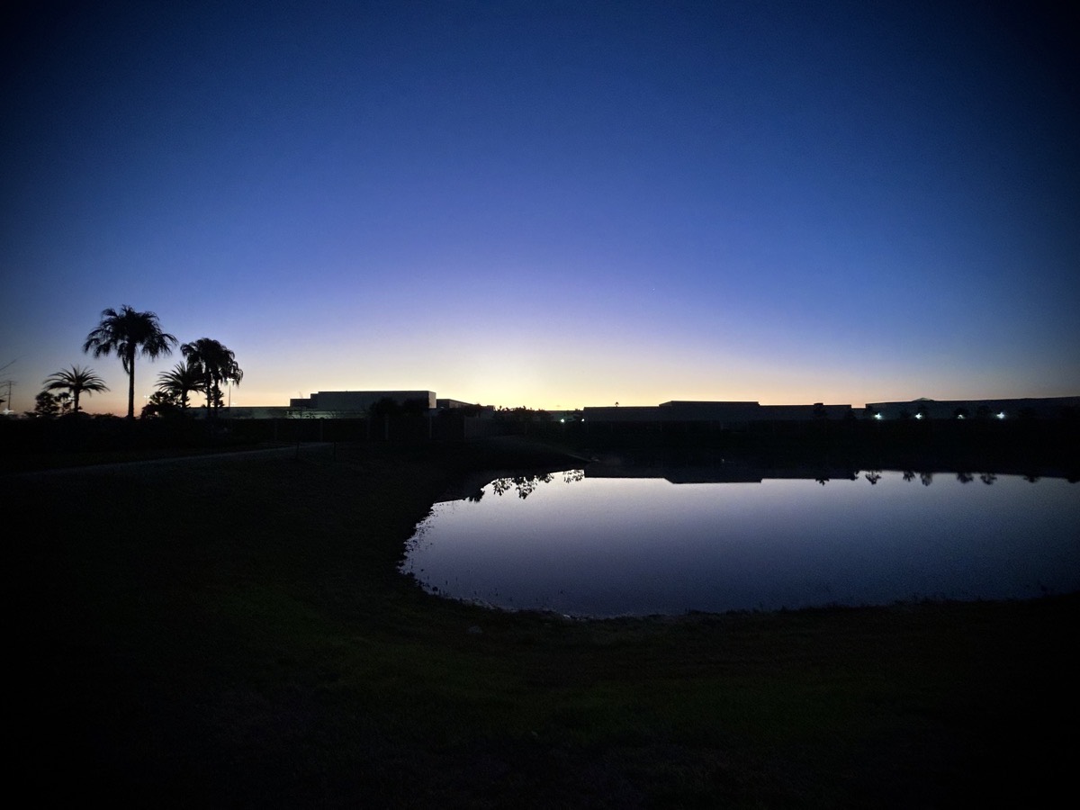 Sunlight glowing behind a building and palm trees reflecting off a pond
